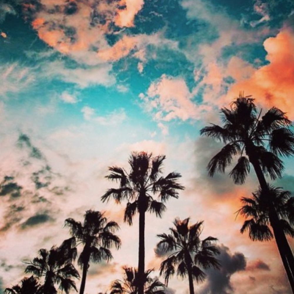 Meet your Posher, Jillian